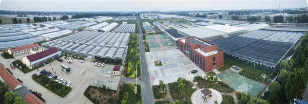 新材料技術(shù)推廣服務基地簡介